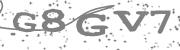 Type the letters in the image or Type the first letter of the words spoken in the audio.