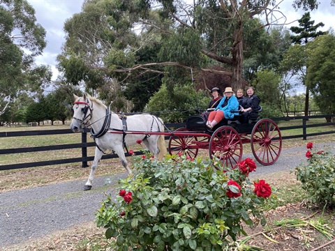 buggy-ride-Kyneton-Museum.jpg