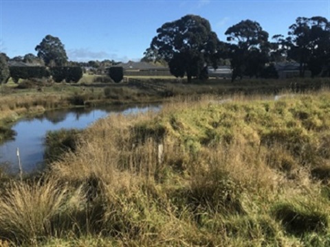 Bunjil and Howey Creek