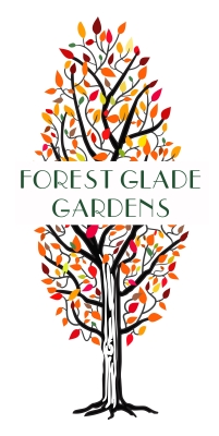 Forest Glade Gardens