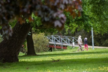 Bridge on walking path