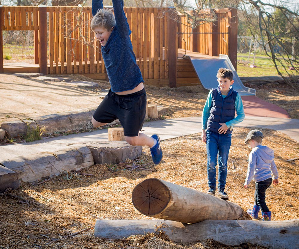 Climbing Forest - Reds Landscaping & Design Climbing Forest - Reds Landscaping & Design