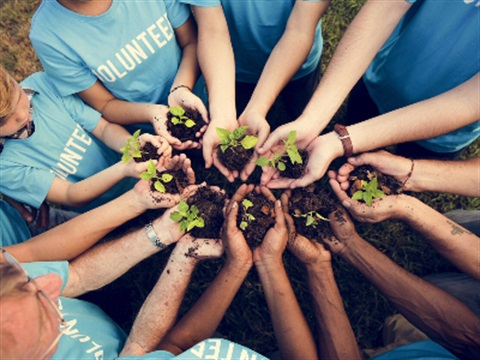 Hands holding seeds community work