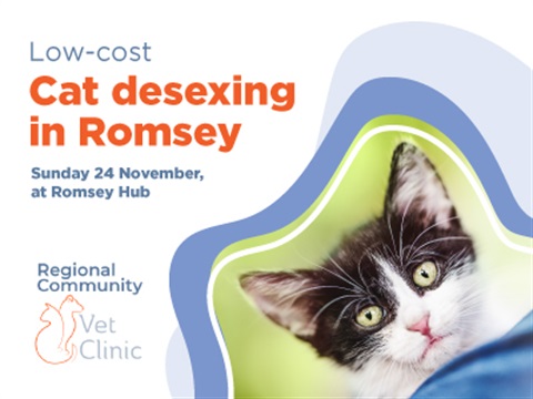 Cat-desexing-web-tile.jpg