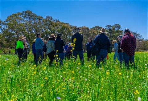 Farm-Walk-2_2_WEB.jpg