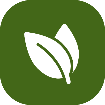 Leaf icon on green background