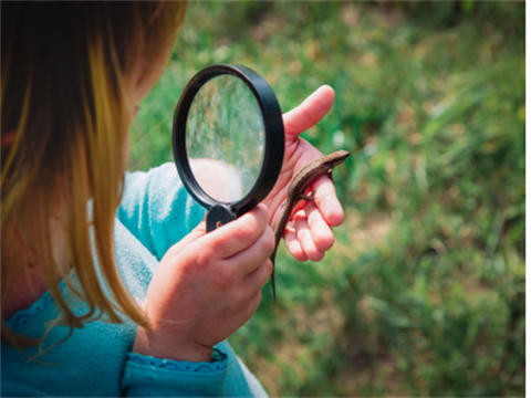 Magnifying-glass-child-400x300