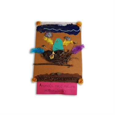 Early Learning winner