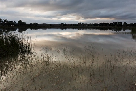 Gisborne Racecourse Marshlands Reserve