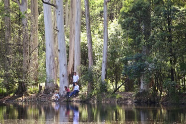 Macedon Regional Park