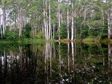 Macedon Regional Park