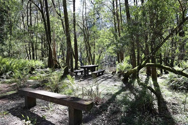 Macedon Regional Park