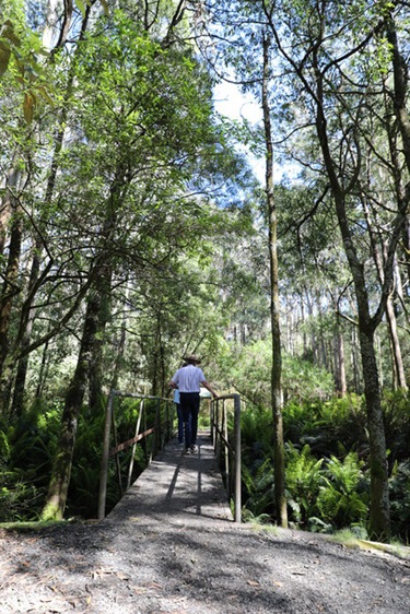 Macedon Regional Park