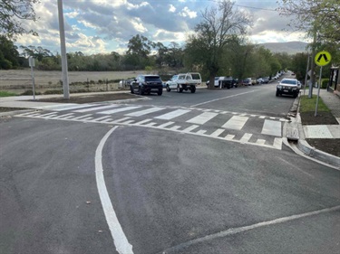 Riddells Creek Pedestrian Works