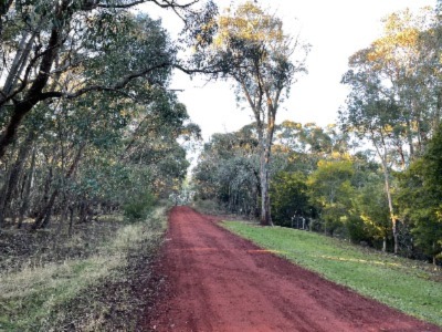 cleared roadside