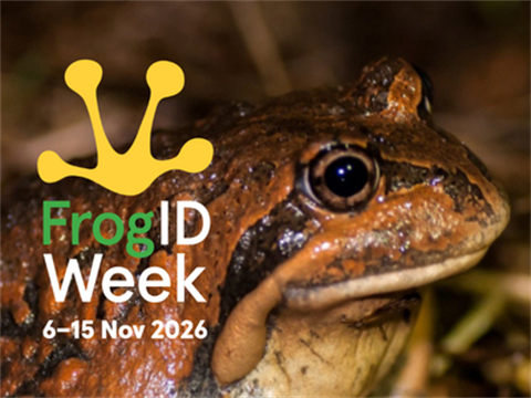 FrogID-Week-logo-and-frog.png