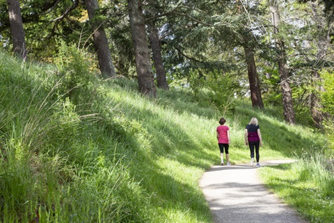Kyneton-Botanical-Gardens.jpg