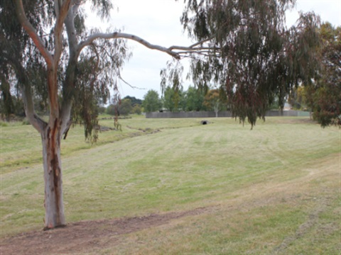 Chessy Park Drive Reserve