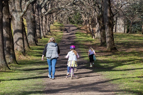 Sankey Reserve Open Space 