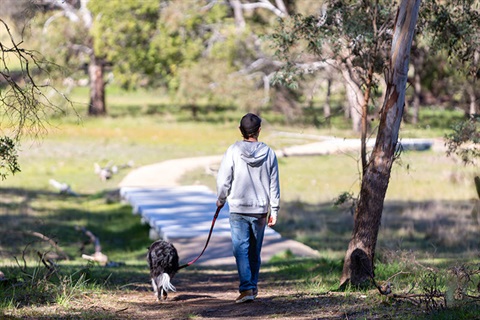 Bald Hill Reserve - dog walker