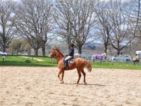 Lancefield Equestrian Facility