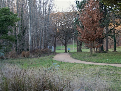 Sankey Reserve walking track