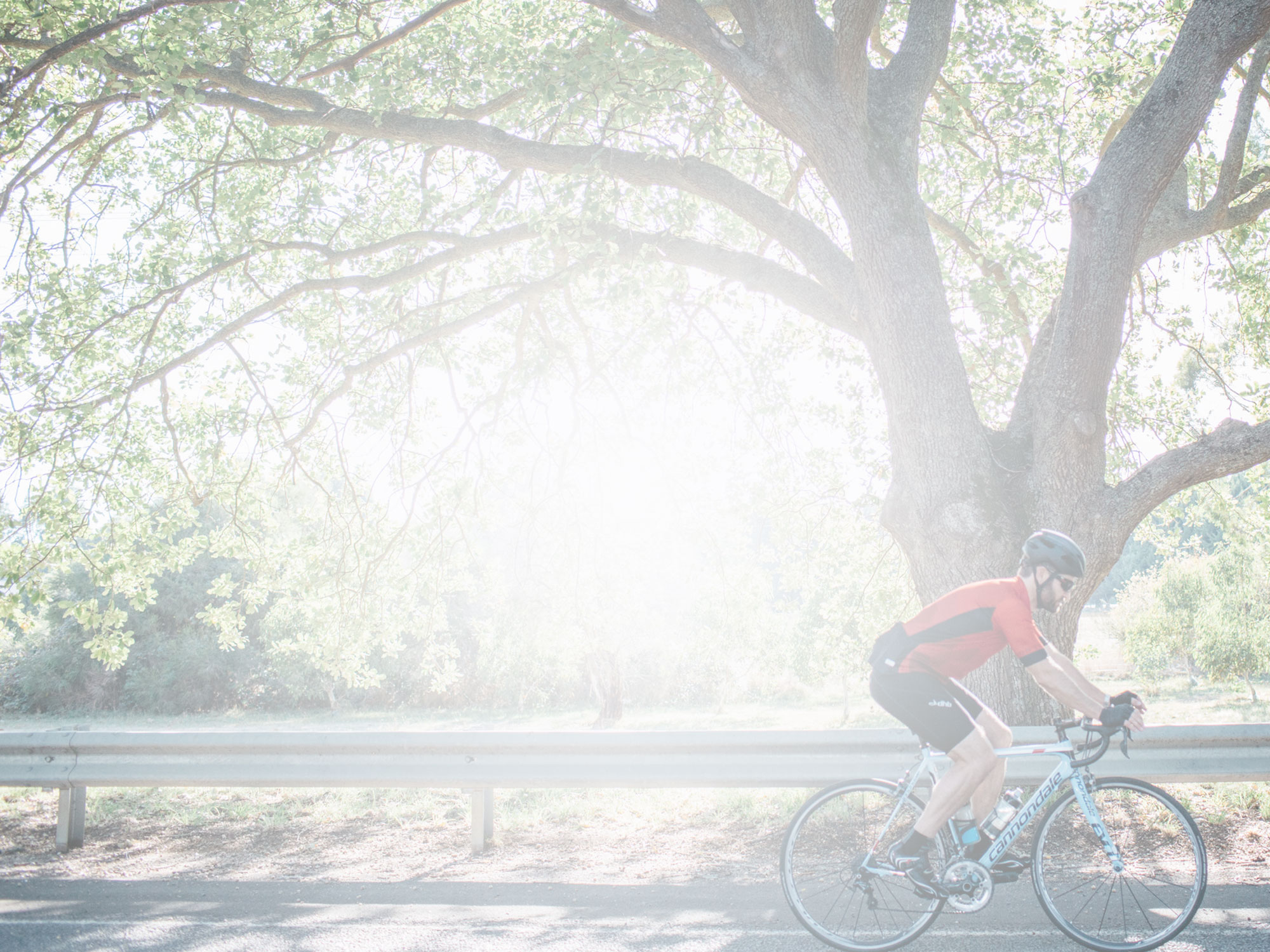 Image fade background image