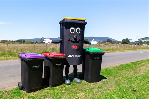 Kerby with bin set.jpg